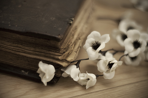 book-flower-flowers-old-pretty-Favim.com-195331