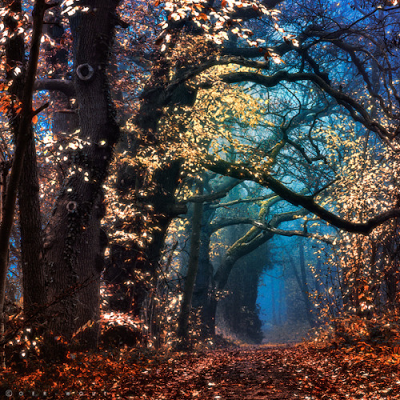 vuoidavveroilparadiso